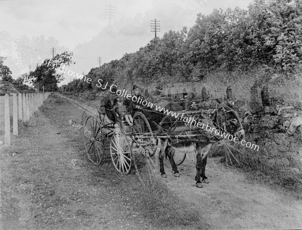 DONKEY AND CART